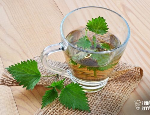 Csalán tea