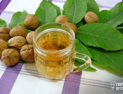 Diófalevél tea